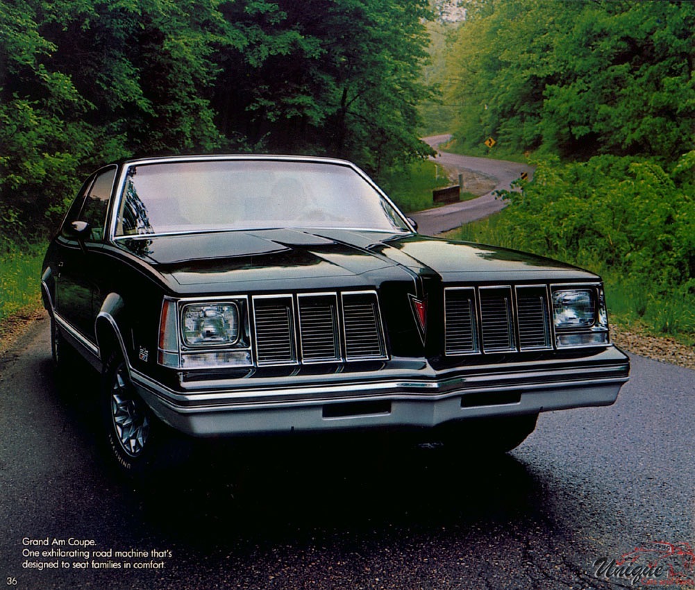 1980 Pontiac Brochure Page 17